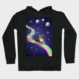 Cute cat in Space Hoodie